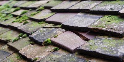 Alconbury roof repair costs